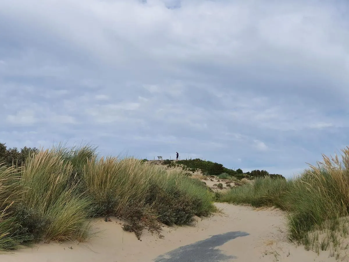 Scheveningen Sea Side Bed and Breakfast Den Haag Bed & Breakfast
